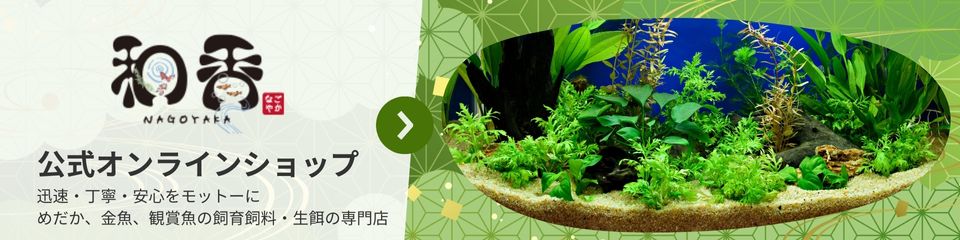 和香公式オンラインショップ